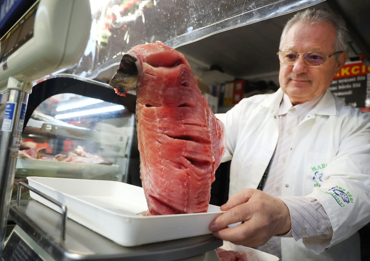 Szeged, karácsony, szaloncukor, gyümölcs, hal, hús, dió, mák, savanyú káposzta, Mars téri piac